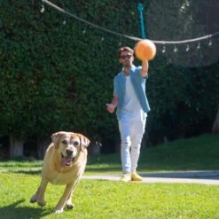 Outward Hound Launch A Ball Squeak Interactive Tennis Ball Launcher Dog Toy 11 Outward Hound Launch A Ball Squeak Interactive Tennis Ball Launcher Dog Toy -Pup Haven Sales Store 368208 PT4. AC SS1800 V1644526653