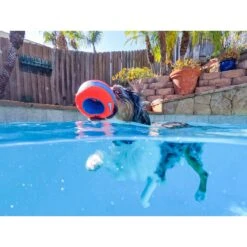 Chuckit! Amphibious Roller Ball Dog Toy, Orange 6 Chuckit! Amphibious Roller Ball Dog Toy, Orange -Pup Haven Sales Store 369040 PT3. AC SS1800 V1645577320