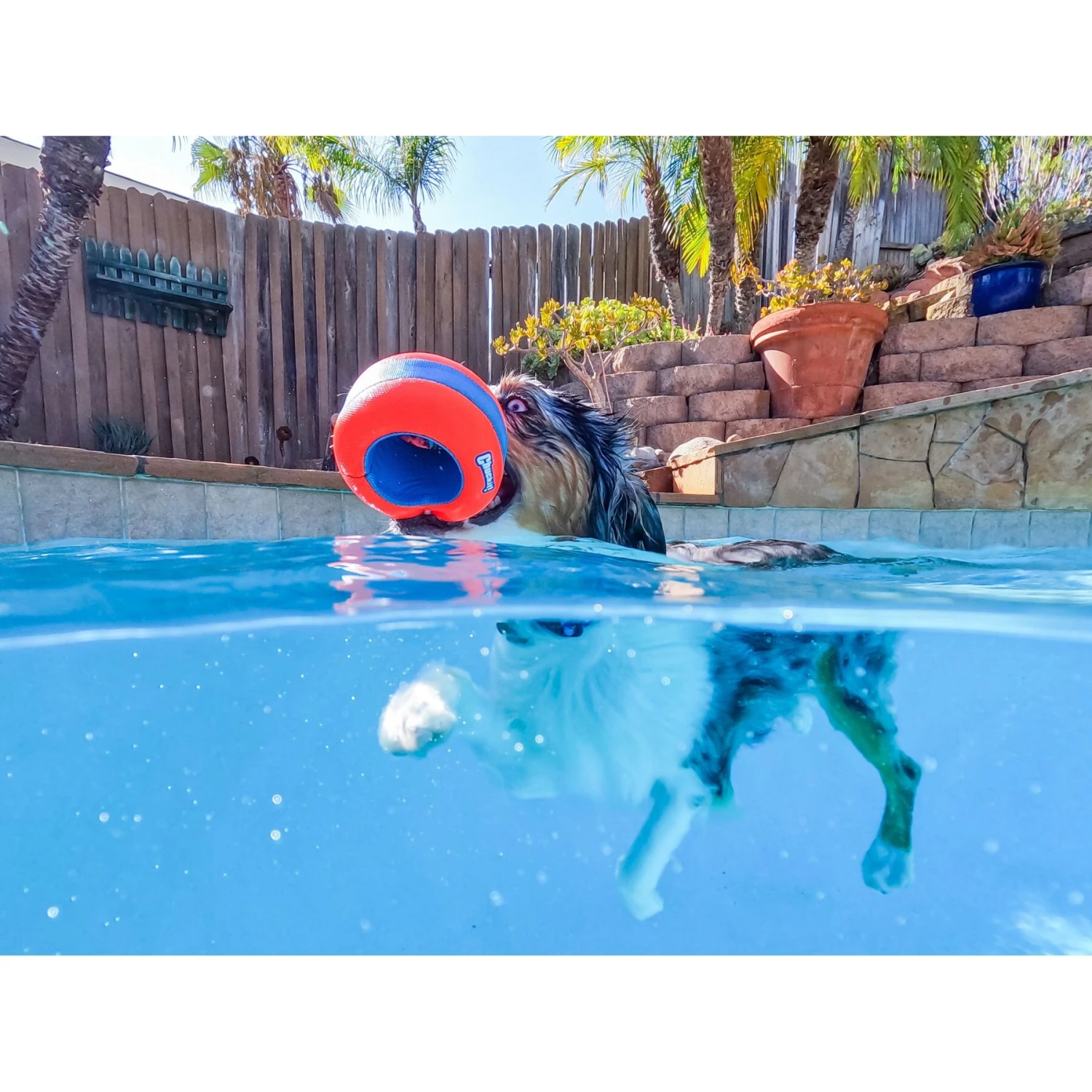 Chuckit! Amphibious Roller Ball Dog Toy, Orange 3 Chuckit! Amphibious Roller Ball Dog Toy, Orange - Image 3