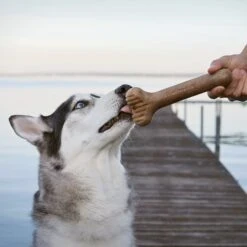 Lumabone Bulkster Bacon Flavor Dog Toy 10 Lumabone Bulkster Bacon Flavor Dog Toy -Pup Haven Sales Store 370197 PT4. AC SS1800 V1646783525