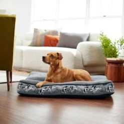 Disney Mickey Mouse Bolster Cat & Dog Bed & Disney Pluto Pillow Cat & Dog Bed 17 Disney Mickey Mouse Bolster Cat & Dog Bed & Disney Pluto Pillow Cat & Dog Bed -Pup Haven Sales Store 370378 PT8. AC SS1800 V1645808515