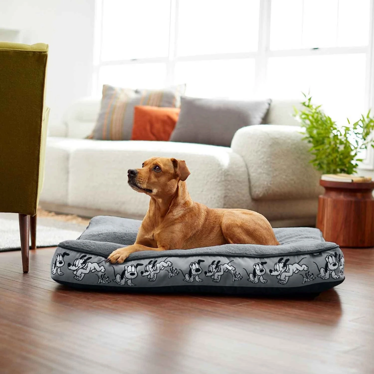 Disney Mickey Mouse Bolster Cat & Dog Bed & Disney Pluto Pillow Cat & Dog Bed 9 Disney Mickey Mouse Bolster Cat & Dog Bed & Disney Pluto Pillow Cat & Dog Bed - Image 9