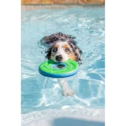 Chuckit! Zipflight Disc Dog Toy, Color Varies -Pup Haven Sales Store 53240 PT3. AC SS1800 V1530189726