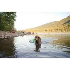 Chuckit! Amphibious Boomerang Dog Toy, Color Varies -Pup Haven Sales Store 53241 PT3. AC SS1800 V1510778334