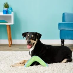 Chuckit! Amphibious Boomerang Dog Toy, Color Varies -Pup Haven Sales Store 53241 PT8. AC SS1800 V1510778346