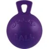 Jolly Pets Tug-n-Toss Dog Toy, Purple