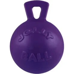 Jolly Pets Tug-n-Toss Dog Toy, Purple