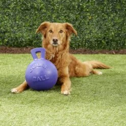 Jolly Pets Tug-n-Toss Dog Toy, Purple -Pup Haven Sales Store 53642 PT2. AC SS1800 V1530191318