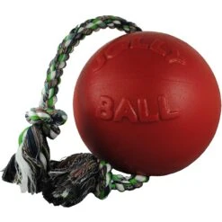 Jolly Pets Romp-n-Roll Dog Toy, Red