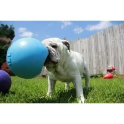 Jolly Pets Bounce-n-Play Dog Toy, Blueberry -Pup Haven Sales Store 53661 PT2. AC SS1800 V1629242218