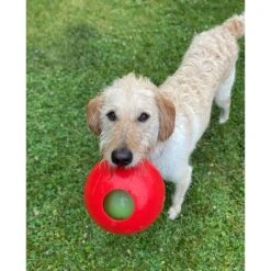 Jolly Pets Teaser Ball Dog Toy, Red 6 Jolly Pets Teaser Ball Dog Toy, Red -Pup Haven Sales Store 53674 PT1. AC SS1800 V1629244955