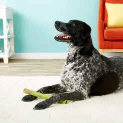 Ruff Dawg Stick Dog Fetch Toy, Color Varies 9 Ruff Dawg Stick Dog Fetch Toy, Color Varies -Pup Haven Sales Store 53803 PT8. AC SS1800 V1507036192