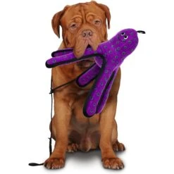 Tuffy's Ocean Creatures Purple Pete Squeaky Plush Dog Toy 6 Tuffy's Ocean Creatures Purple Pete Squeaky Plush Dog Toy -Pup Haven Sales Store 54140 PT2. AC SS1800 V1589492215