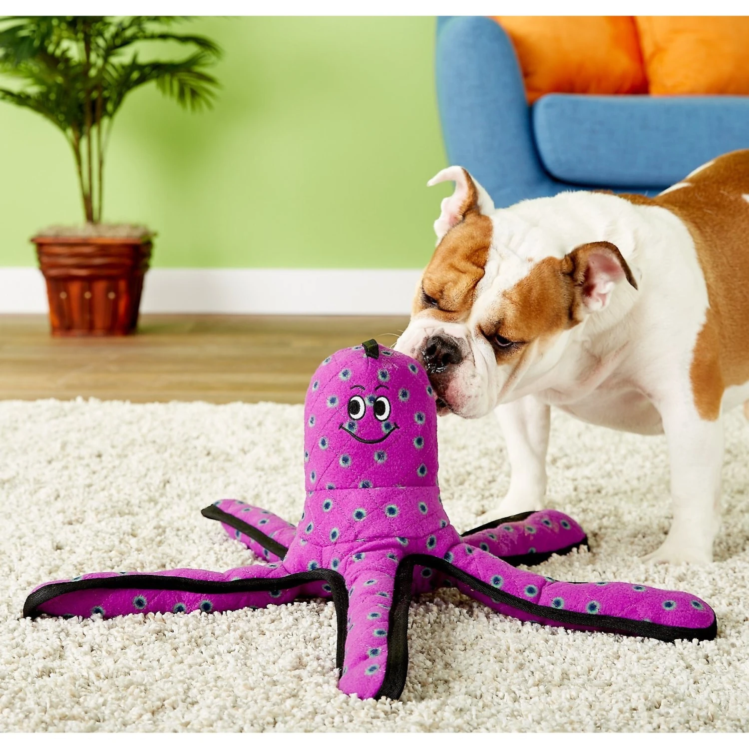 Tuffy's Ocean Creatures Purple Pete Squeaky Plush Dog Toy 4 Tuffy's Ocean Creatures Purple Pete Squeaky Plush Dog Toy - Image 4