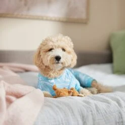 Frisco Blue Ocean Waves Dog & Cat Jersey PJs 10 Frisco Blue Ocean Waves Dog & Cat Jersey PJs -Pup Haven Sales Store 556142 PT5. AC SS1800 V1674828705