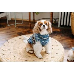 Chilly Dog Fairisle Wool Dog Sweater, Blue -Pup Haven Sales Store 577734 PT3. AC SS1800 V1659025727