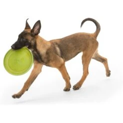 West Paw Zogoflex Zisc Flying Disc Dog Toy -Pup Haven Sales Store 58046 PT2. AC SS1800 V1629321107
