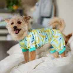 Frisco Go Bananas Dog & Cat Jersey PJs -Pup Haven Sales Store 608998 PT6. AC SS1800 V1676642341