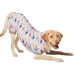 Frisco Dinosaur Dog & Cat Jersey PJs -Pup Haven Sales Store 609062 PT4. AC SS1800 V1681488688