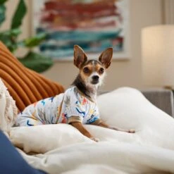 Frisco Dinosaur Dog & Cat Jersey PJs -Pup Haven Sales Store 609062 PT6. AC SS1800 V1676643314