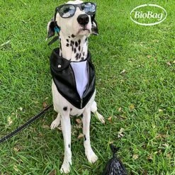 BioBag Large Pet Waste Bags -Pup Haven Sales Store 61625 PT4. AC SS1800 V1628863632