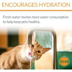 K&H Pet Products CleanFlow Filtered Water Dog Bowl, Small, 80-oz Bowl + 90-oz Reservoir 11 K&H Pet Products CleanFlow Filtered Water Dog Bowl, Small, 80-oz Bowl + 90-oz Reservoir -Pup Haven Sales Store 61705 PT3. AC SS1800 V1637627797