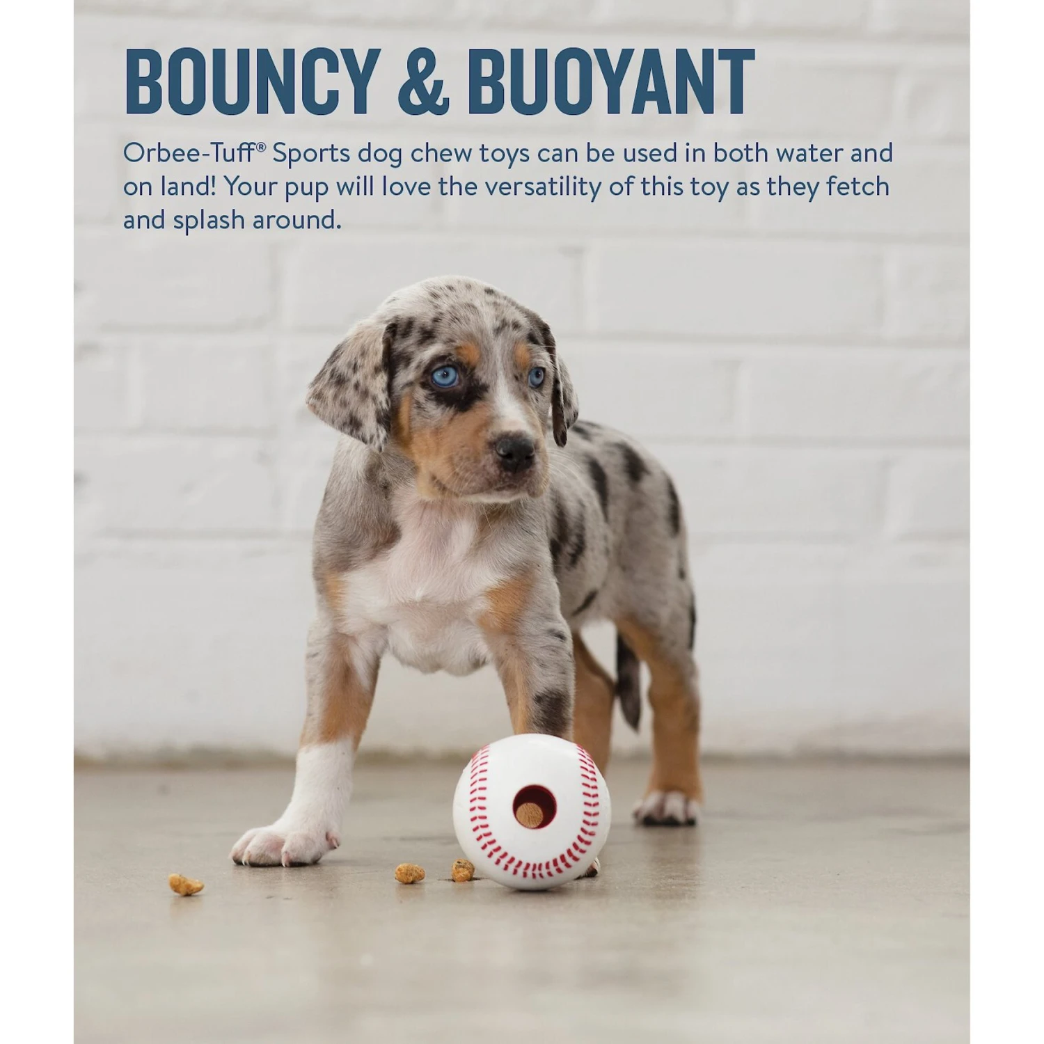 Planet Dog Orbee-Tuff Sport Baseball Tough Dog Chew Toy 4 Planet Dog Orbee-Tuff Sport Baseball Tough Dog Chew Toy - Image 4