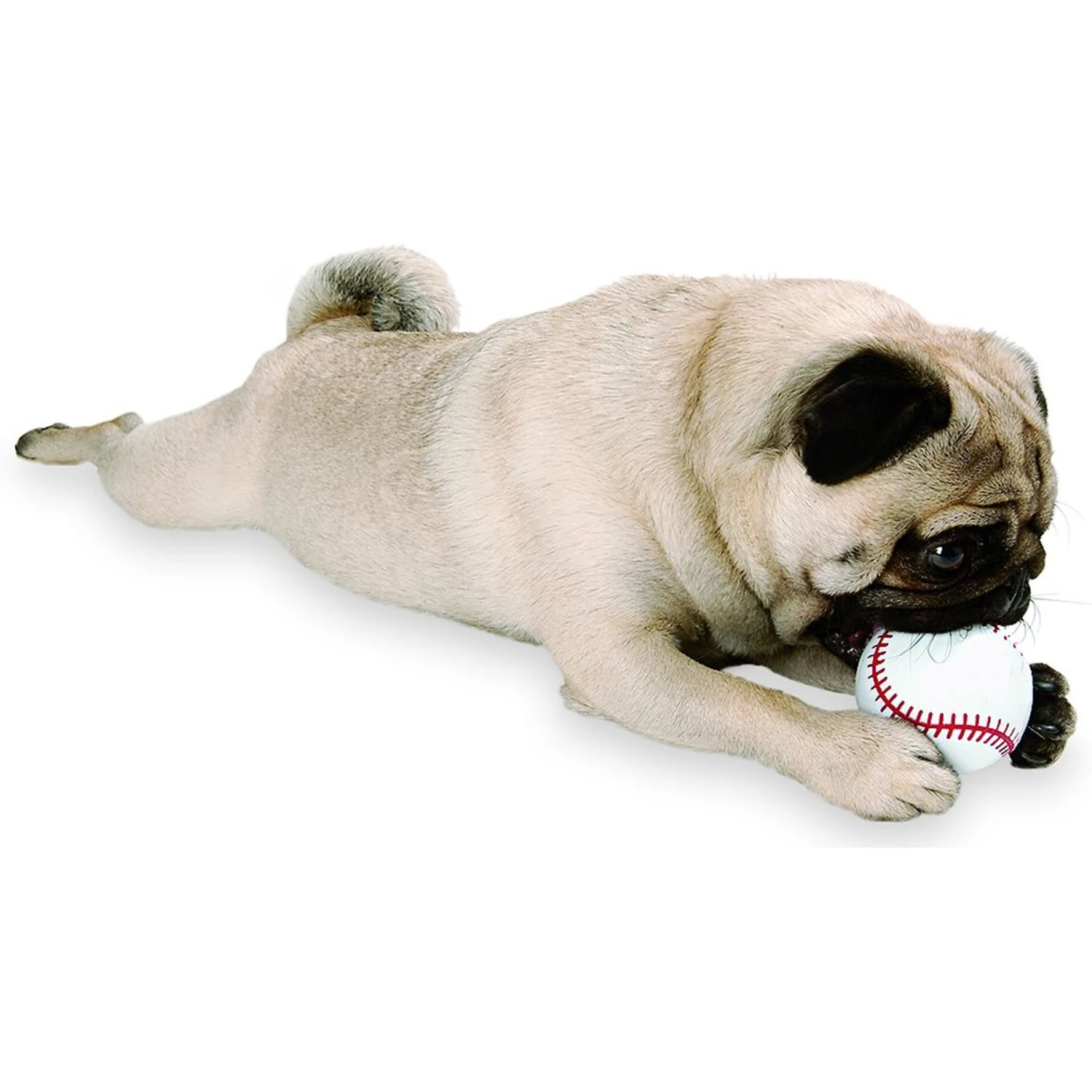 Planet Dog Orbee-Tuff Sport Baseball Tough Dog Chew Toy 9 Planet Dog Orbee-Tuff Sport Baseball Tough Dog Chew Toy - Image 9
