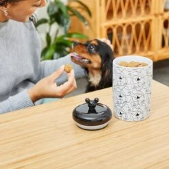 Disney Table Scraps Mickey Mouse Hot Diggity Dog Recipe Upcycled Jerky Dog Treats, 5-oz Bag & Disney Mickey Lines Ceramic Treat Jar -Pup Haven Sales Store 623494 PT7. AC SS1800 V1661896454