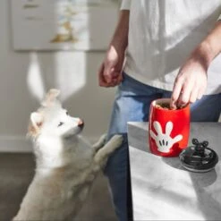 Disney Table Scraps Mickey Mouse Hot Diggity Dog Recipe Upcycled Jerky Dog Treats, 5-oz Bag & Disney Mickey Mouse Ceramic Dog & Cat Treat Jar -Pup Haven Sales Store 623510 PT8. AC SS1800 V1661896152