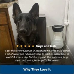 PetSafe Healthy Gravity Refill Dog & Cat Waterer -Pup Haven Sales Store 63119 PT5. AC SS1800 V1676398827