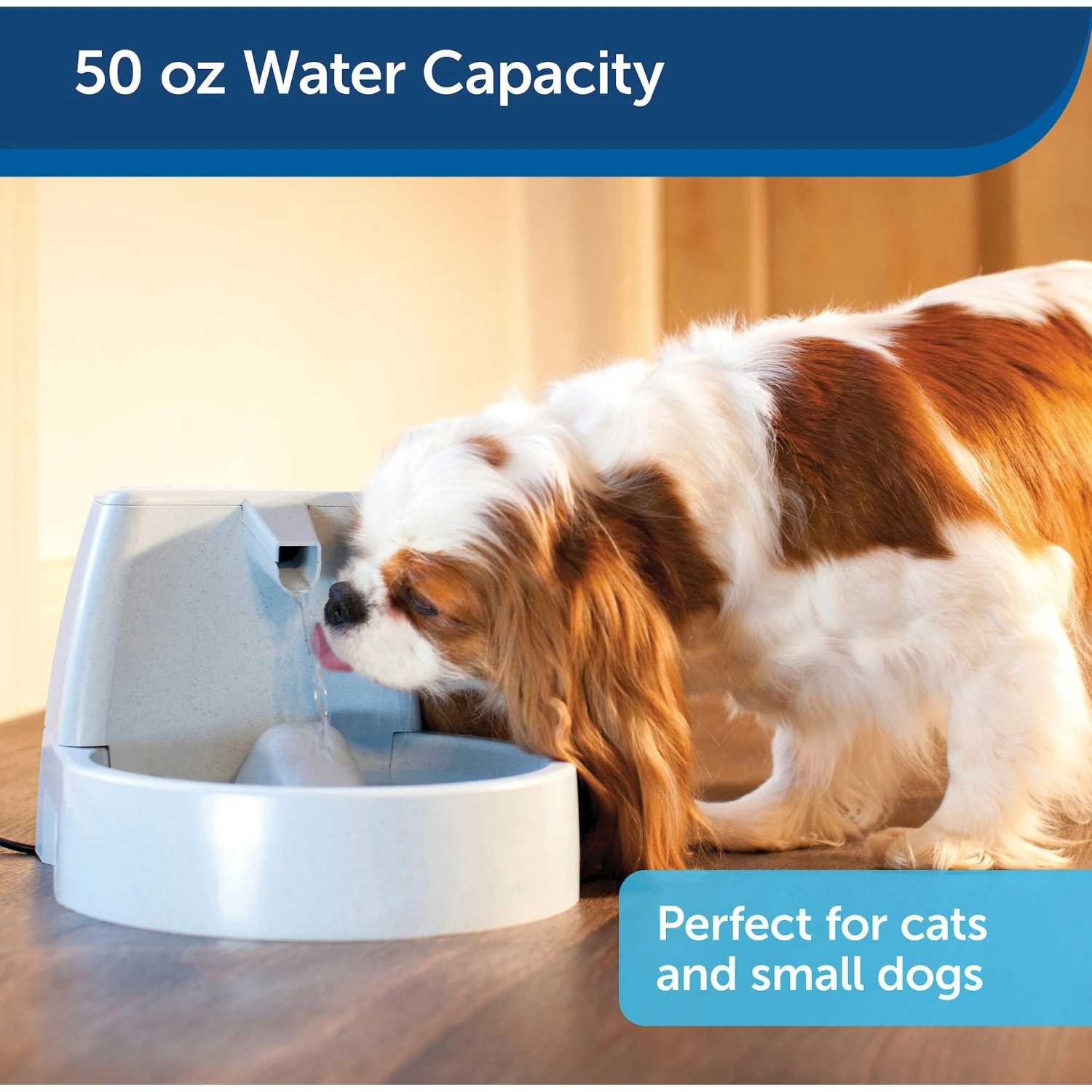 PetSafe Drinkwell Original Plastic Dog & Cat Fountain 4 PetSafe Drinkwell Original Plastic Dog & Cat Fountain - Image 4