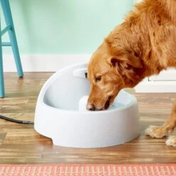 PetSafe Drinkwell Everflow Plastic Dog & Cat Fountain -Pup Haven Sales Store 63326 PT2. AC SS1800 V1539373024
