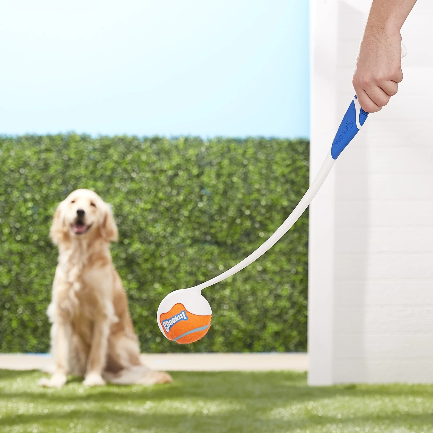 Chuckit! Pro Launcher Dog Toy, Color Varies 2 Chuckit! Pro Launcher Dog Toy, Color Varies - Image 2