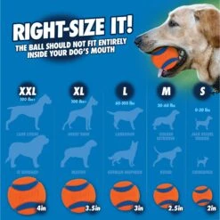 Chuckit! Pro Launcher Dog Toy, Color Varies 10 Chuckit! Pro Launcher Dog Toy, Color Varies -Pup Haven Sales Store 64777 PT7. AC SS1800 V1530212937