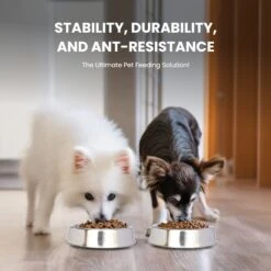 Iconic Pet Anti Ant Stainless Steel Non Skid Dog & Cat Bowl, 2 Count -Pup Haven Sales Store 652046 PT2. AC SS1800 V1663881086