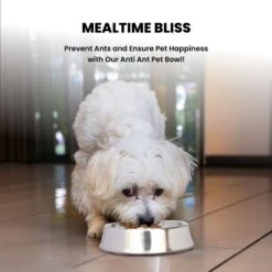 Iconic Pet Anti Ant Stainless Steel Non Skid Dog & Cat Bowl, 2 Count -Pup Haven Sales Store 652046 PT4. AC SS1800 V1663880779