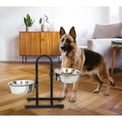 Iconic Pet U Design Adjustable Stainless Steel Pet Double Dog Bowl 15 Iconic Pet U Design Adjustable Stainless Steel Pet Double Dog Bowl -Pup Haven Sales Store 652190 PT7. AC SS1800 V1663880782