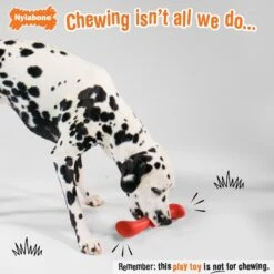 Nylabone Creative Play Stik-GO Interactive Dog Toy, Red -Pup Haven Sales Store 665702 PT2. AC SS1800 V1679081895