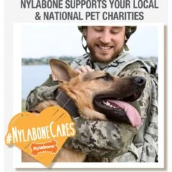 Nylabone Creative Play Stik-GO Interactive Dog Toy, Red -Pup Haven Sales Store 665702 PT8. AC SS1800 V1679080850