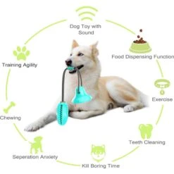 Pet Life 'Grip N' Play' Treat Dispensing Football Shaped Suction Cup Dog Toy 12 Pet Life 'Grip N' Play' Treat Dispensing Football Shaped Suction Cup Dog Toy -Pup Haven Sales Store 667454 PT3. AC SS1800 V1665606372