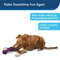 PetSafe Busy Buddy Chuckle Squeaky Treat Dispenser Dog Toy 13 PetSafe Busy Buddy Chuckle Squeaky Treat Dispenser Dog Toy -Pup Haven Sales Store 67197 PT7. AC SS1800 V1602285959