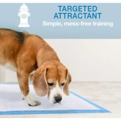 Four Paws Wee-Wee Gigantic Dog Training Pads 13 Four Paws Wee-Wee Gigantic Dog Training Pads -Pup Haven Sales Store 67832 PT4. AC SS1800 V1685645740