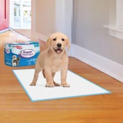 Four Paws Wee-Wee Super Absorbent Dog Pads & Cadet Gourmet Beef Hide & Duck Twist Sticks Dog Treats, 5-in -Pup Haven Sales Store 678430 PT3. AC SS1800 V1667864457