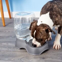 Petmate Pearl Pet Cafe Waterer -Pup Haven Sales Store 68452 PT8. AC SS1800 V1540309962