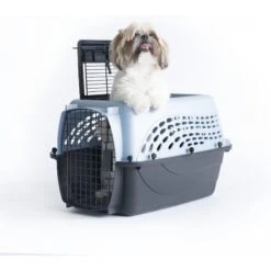Petmate Two Door Top Load Dog & Cat Kennel 12 Petmate Two Door Top Load Dog & Cat Kennel -Pup Haven Sales Store 68695 PT5. AC SS1800 V1553876549