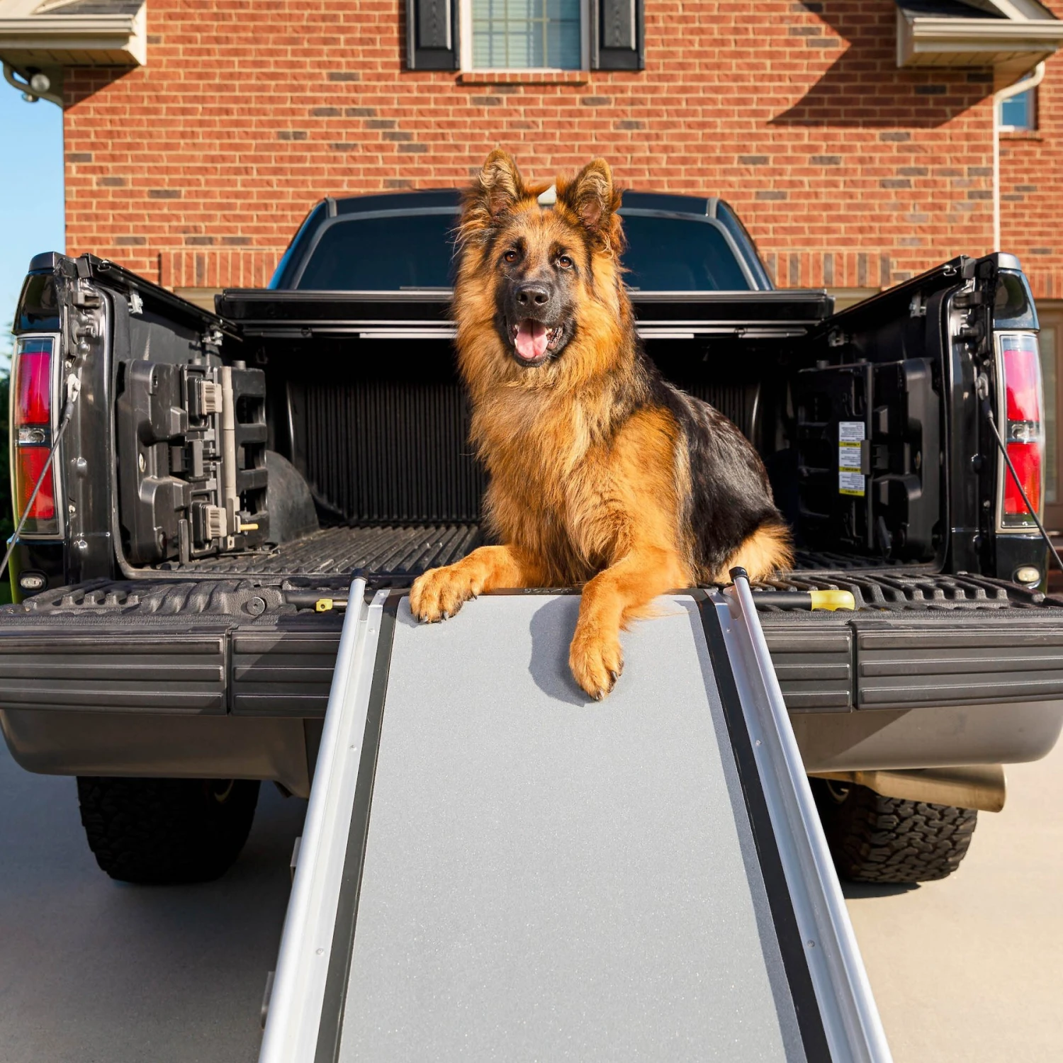 PetSafe Happy Ride Telescoping Dog Car Ramp 1 PetSafe Happy Ride Telescoping Dog Car Ramp