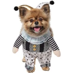 Frisco Front Walking Glitter Clown Dog & Cat Costume -Pup Haven Sales Store 707542 PT2. AC SS1800 V1689351699