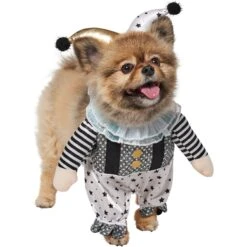 Frisco Front Walking Glitter Clown Dog & Cat Costume -Pup Haven Sales Store 707542 PT3. AC SS1800 V1689278296