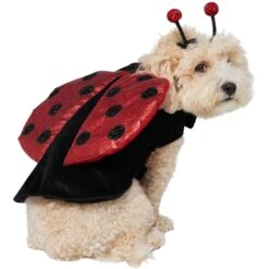Frisco Glittered Ladybug Dog & Cat Costume 12 Frisco Glittered Ladybug Dog & Cat Costume -Pup Haven Sales Store 708254 PT3. AC SS1800 V1689350986